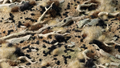 Gamers Grass | Tiny Tufts | Black (1mm)