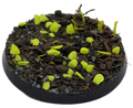 Base X Terrain | Basecover | Toxic Desert