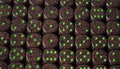 Earth Speckled 16mm D6 Pipped | Sold per Die (Green + Brown Dice)