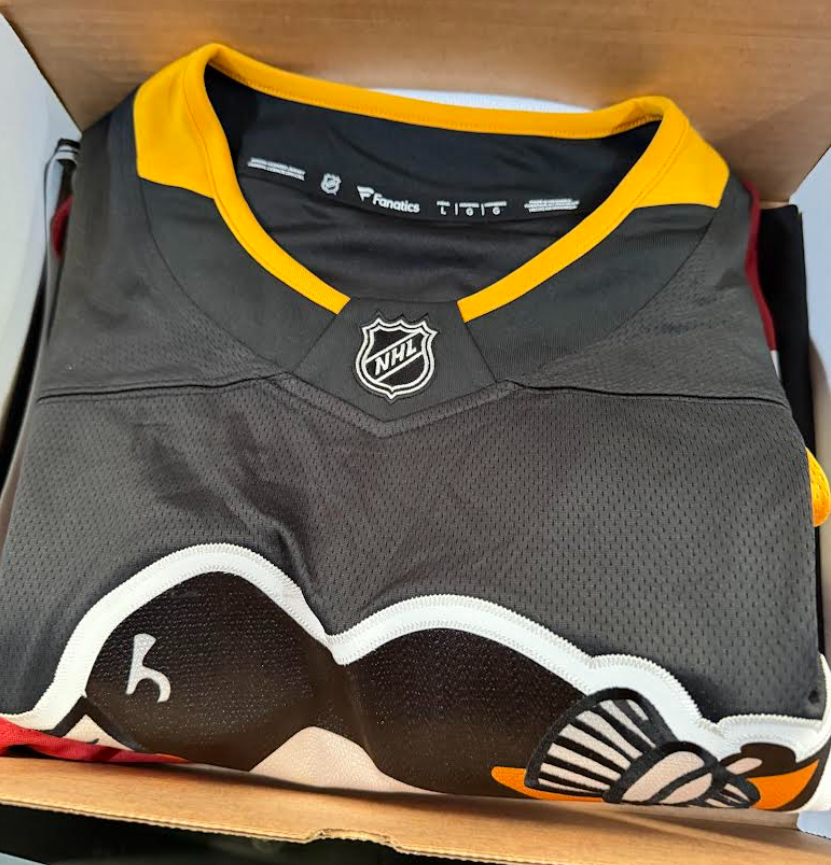 GameDay Sports Jerseys Mystery Box - 2 JERSEYS