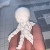Paint your Own Octopus Fidget Toy